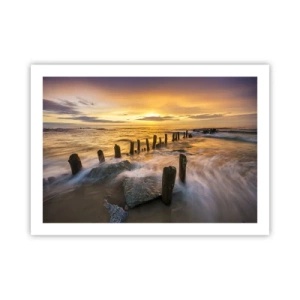 Poster - Die raue Schönheit der Ostsee - 70x50 cm
