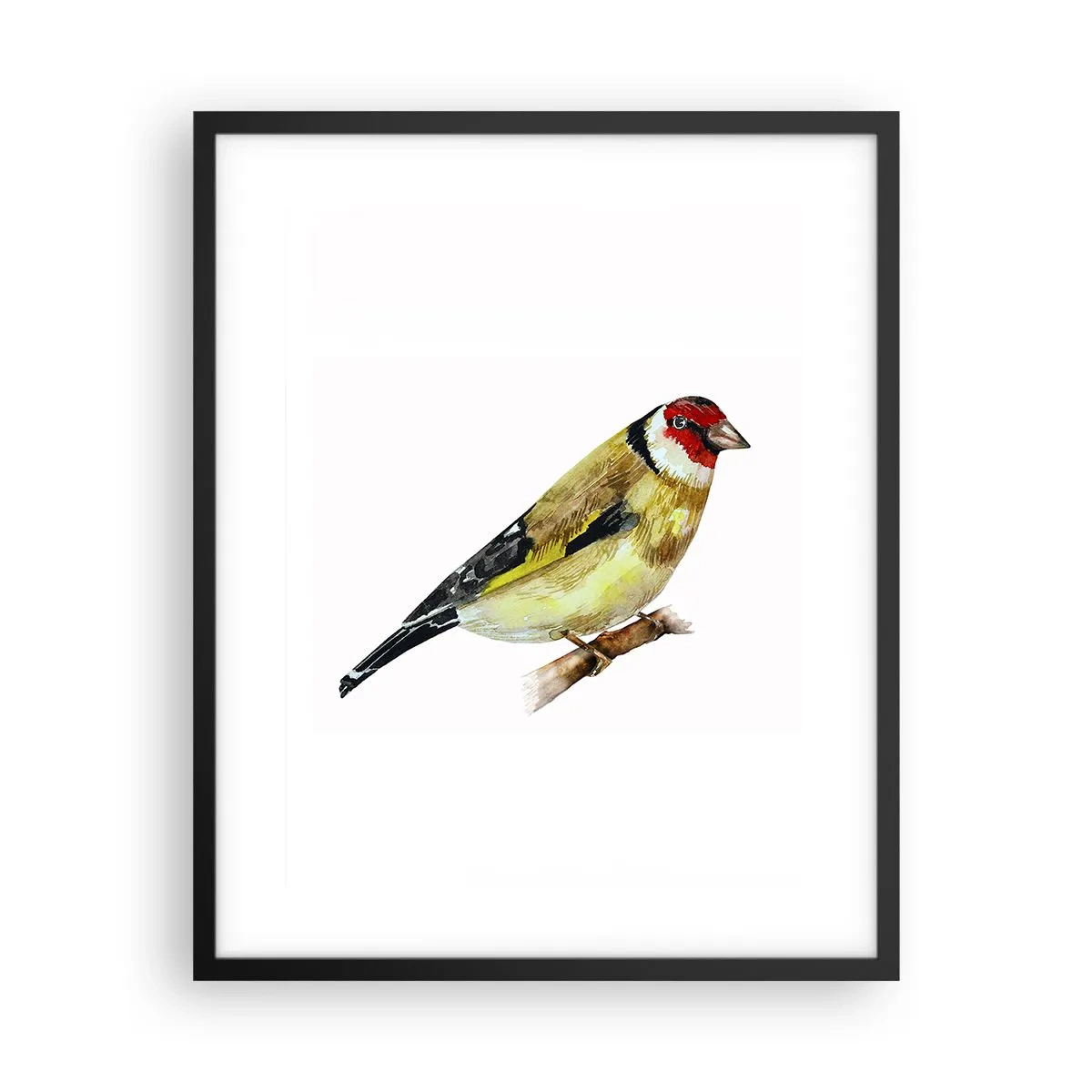 Poster in einem schwarzem Rahmen - Vogelporträt - 40x50 cm