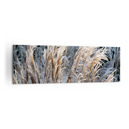 Bild auf Leinwand - Leinwandbild - Winterliche Grashalme mit Frost bedeckt vor einem dunkelgrünen Hintergrund - 160x50cm - Gekleidet mit Frost - Moderne Wanddekoration für Wohnzimmer und Schlafzimmer ARTTOR