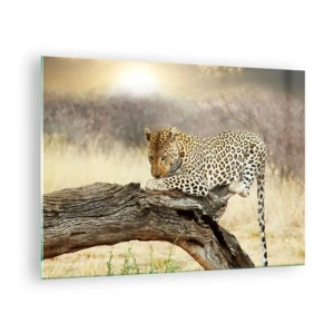 Glasbild - Bild auf glas - Ein Leopard ruht auf einem Holzast - 70x50cm - Ich gehe meine eigenen Wege - Moderne Wanddekoration für Wohnzimmer und Schlafzimmer ARTTOR