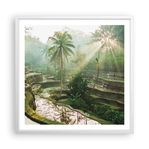 Poster in einem weißen Rahmen - In der Sonne aufwachsen - 60x60 cm