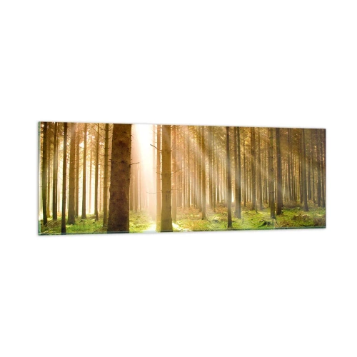 Glasbild - Bild auf glas - Die Elfen werden bald erscheinen - 90x30 cm