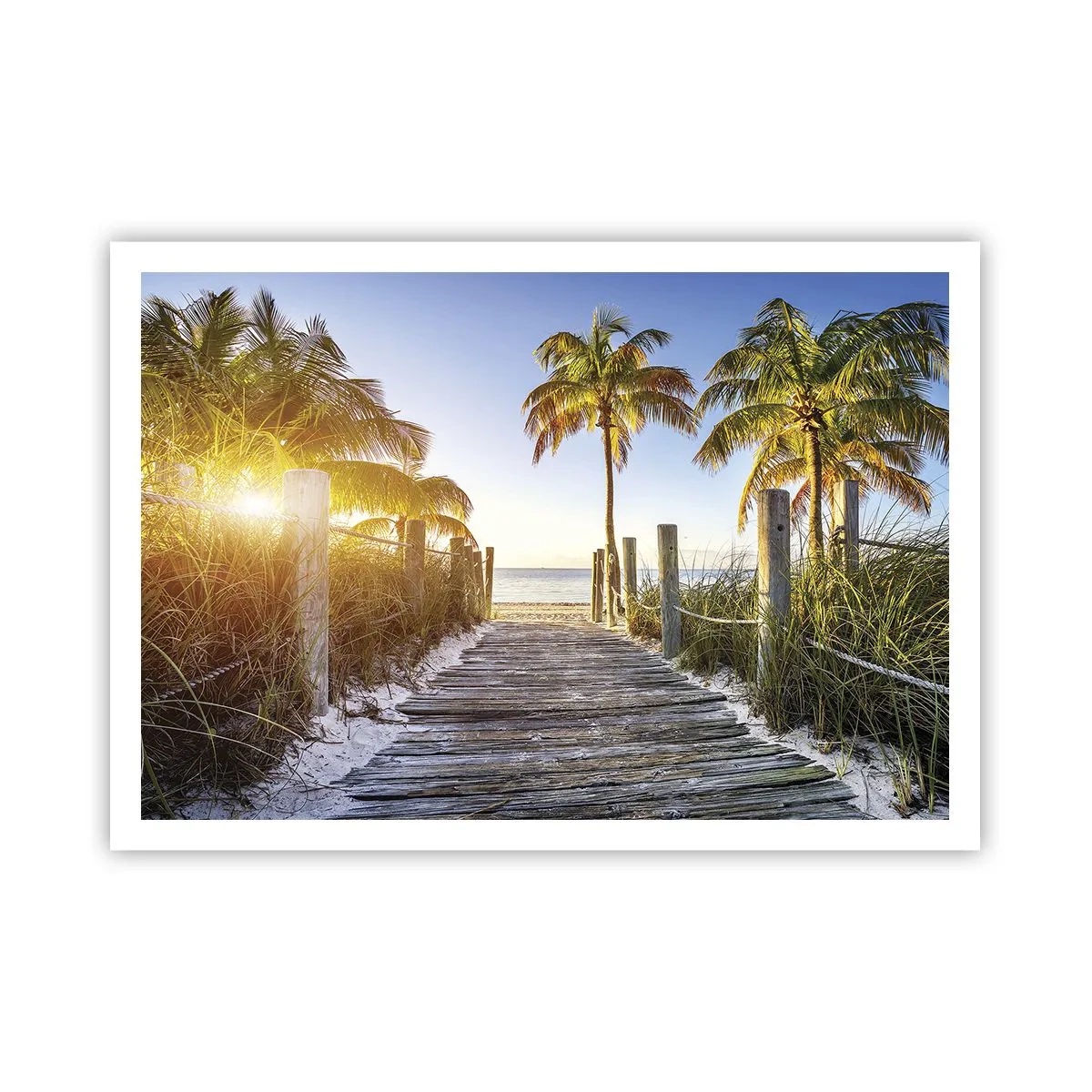 Poster - Holzweg am Strand mit Palmen im Hintergrund - 100x70cm - Direkt ins Paradies - Moderne Wanddekoration für Wohnzimmer und Schlafzimmer ARTTOR