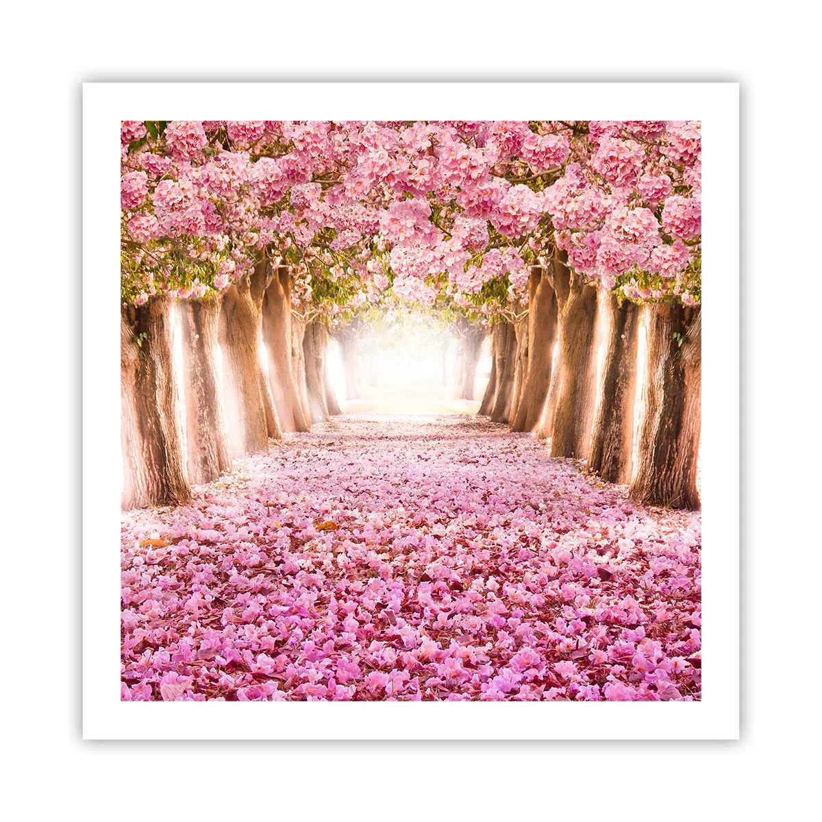 Poster - Der Weg ins Paradies - 60x60 cm