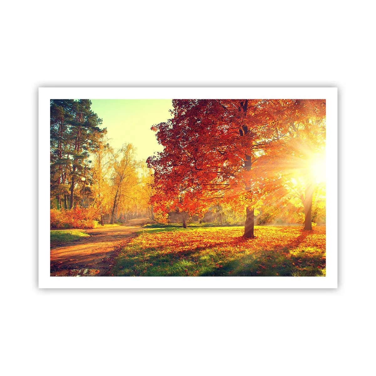 Poster - Unhöflich ist schön - 91x61 cm
