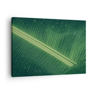 Bild auf Leinwand - Leinwandbild - Ein grünes Blatt mit Wassertropfen auf der Oberfläche - 70x50cm - Die Struktur des Grüns - Moderne Wanddekoration für Wohnzimmer und Schlafzimmer ARTTOR