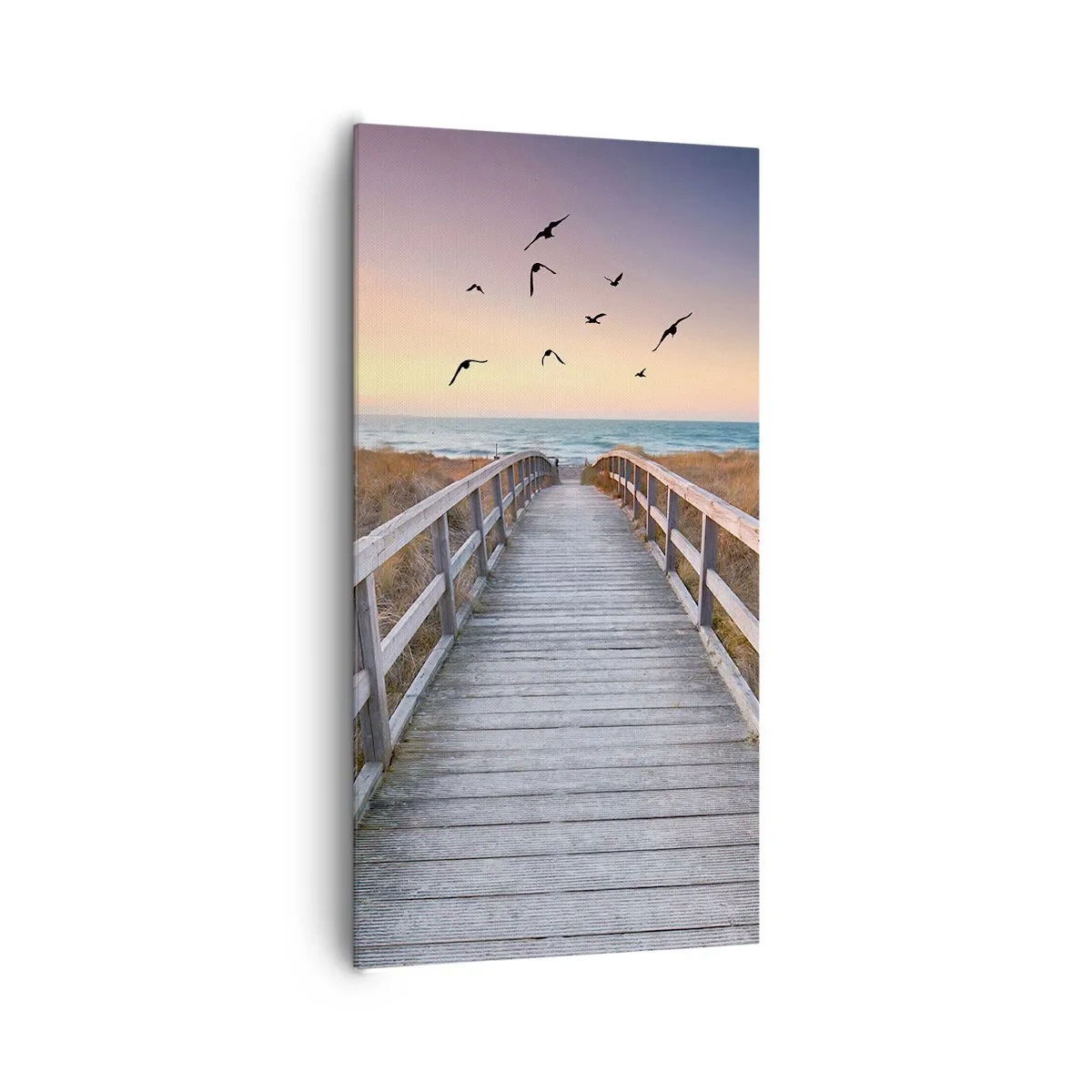 Bild auf Leinwand - Leinwandbild - Der Raum für Auffliegen - 65x120 cm