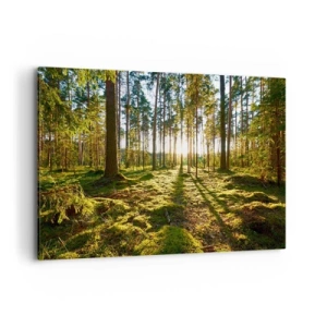 Bild auf Leinwand - Leinwandbild - Grüner Wald, beleuchtet durch Sonnenlicht auf dem Moos - 120x80cm - … Hinter den sieben Wäldern - Moderne Wanddekoration für Wohnzimmer und Schlafzimmer ARTTOR