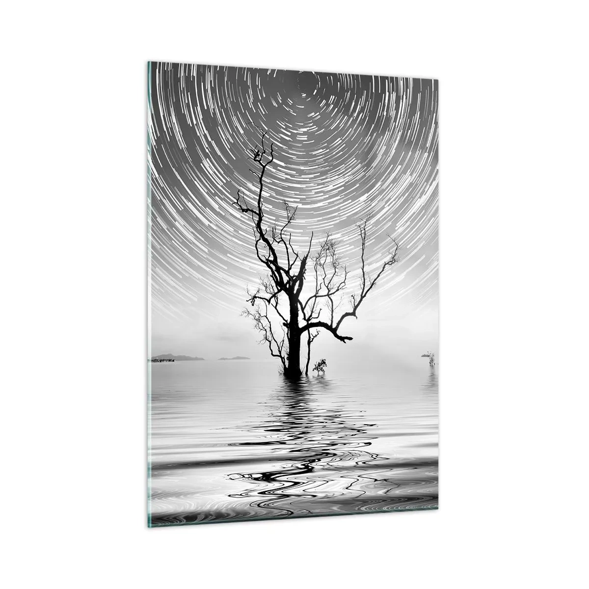 Glasbild - Bild auf glas - Schwarz-weiße Landschaft mit einem Baum und Sternenstreifen - 50x70cm - Eine Sinfonie der Natur - Moderne Wanddekoration für Wohnzimmer und Schlafzimmer ARTTOR