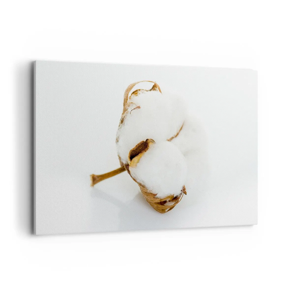 Bild auf Leinwand - Leinwandbild - Ein Baumwollzweig auf hellem Hintergrund in minimalistischem Ansatz - 120x80cm - Von Natur aus weich - Moderne Wanddekoration für Wohnzimmer und Schlafzimmer ARTTOR