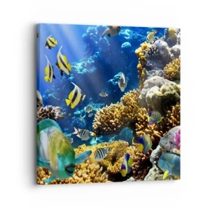 Bild auf Leinwand - Leinwandbild - Viel Verkehr auf dem Ferienweg - 30x30 cm