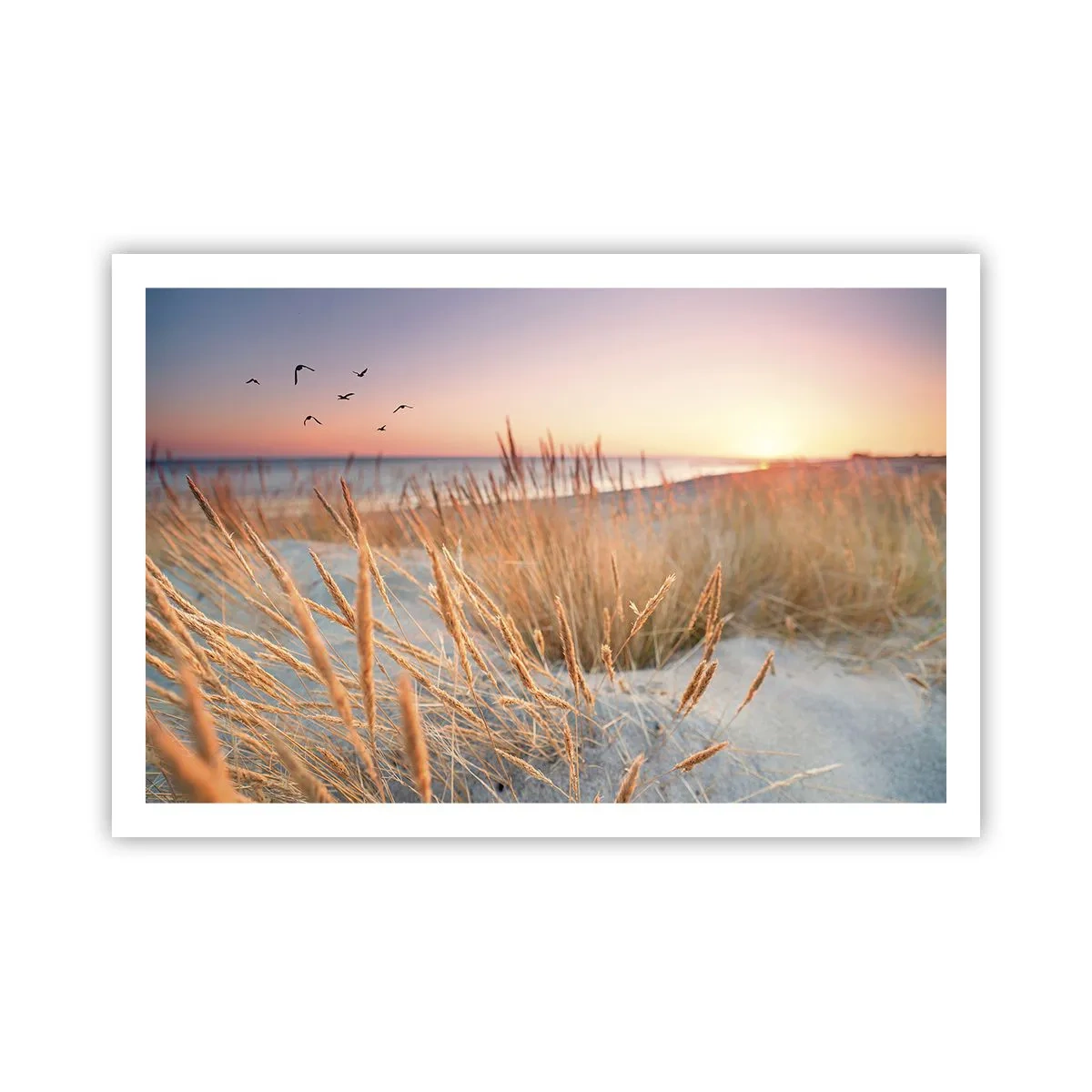 Poster - Das baltische Wiegenlied - 91x61 cm