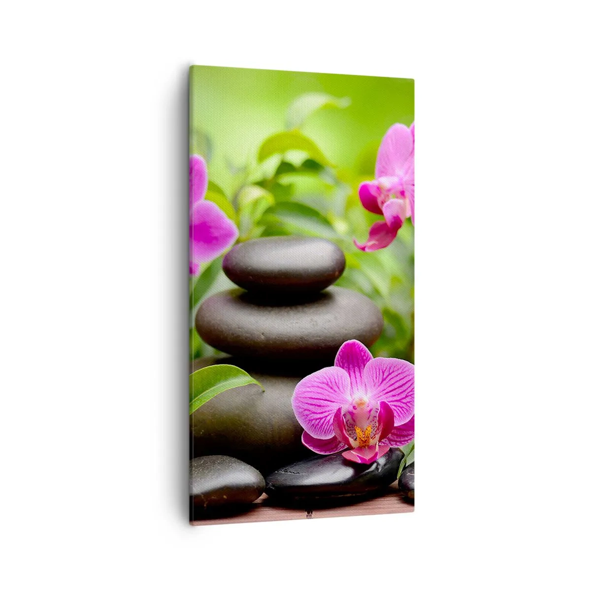 Bild auf Leinwand - Leinwandbild - Die Pyramide des Friedens - 55x100 cm