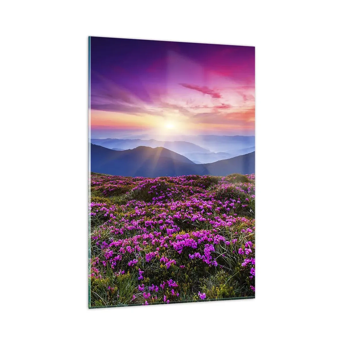 Glasbild - Bild auf glas - Bergwiese mit Blumen bei Sonnenuntergang - 80x120cm - Kräuter dufteten nach frischen Trauben von den Feldern - Moderne Wanddekoration für Wohnzimmer und Schlafzimmer ARTTOR