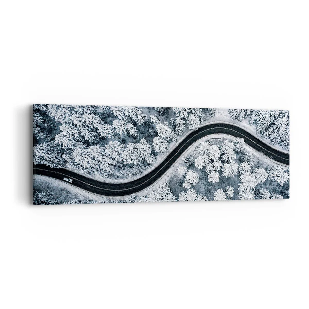 Bild auf Leinwand - Leinwandbild - Durch den Winterwald - 90x30 cm