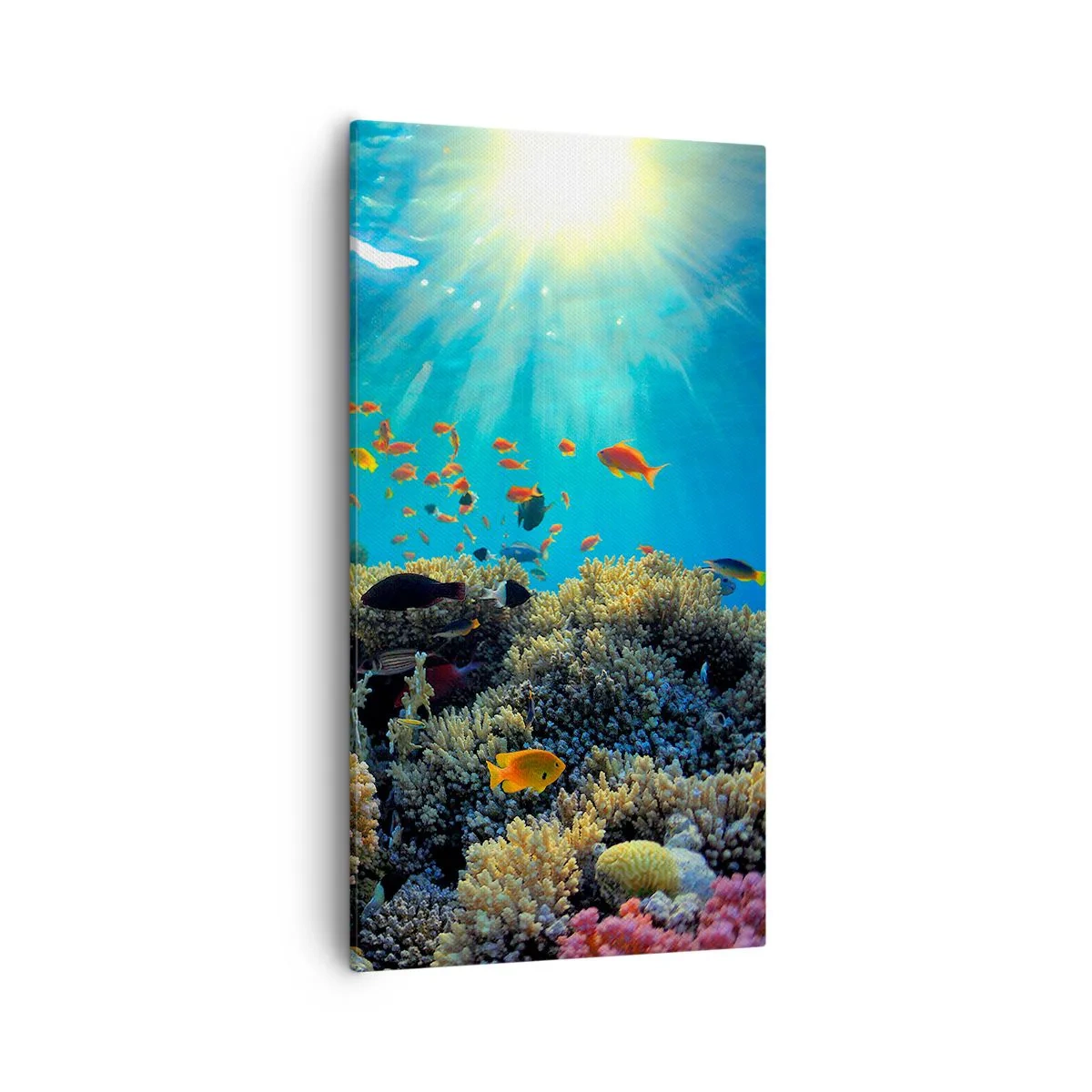 Bild auf Leinwand - Leinwandbild - Unterwasserschätze - 55x100 cm