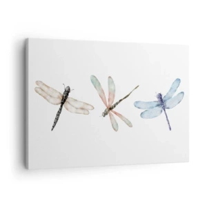 Bild auf Leinwand - Leinwandbild - Drei Libellen in zarten Pastellfarben - 70x50cm - Schwerelose Libellen - Moderne Wanddekoration für Wohnzimmer und Schlafzimmer ARTTOR