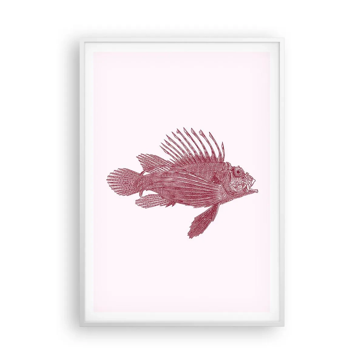 Poster in einem weißen Rahmen - Bewohner exotischer Gewässer - 70x100 cm