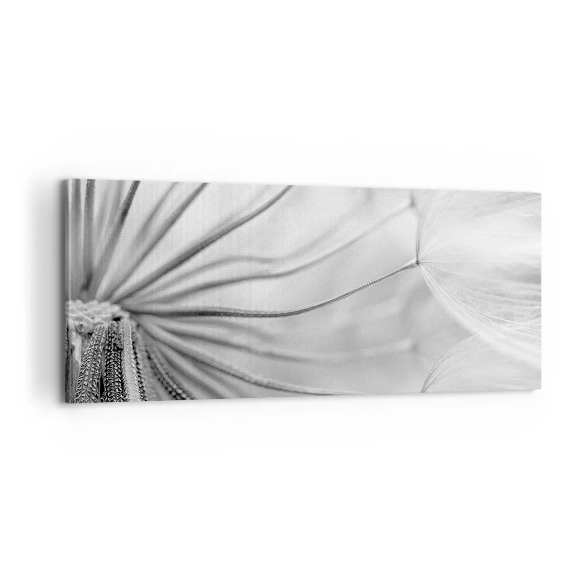 Bild auf Leinwand - Leinwandbild - Löwenzahn, Drachen - 100x40 cm