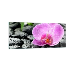 Glasbild - Bild auf glas - Wie ein offenes Herz - 100x40 cm