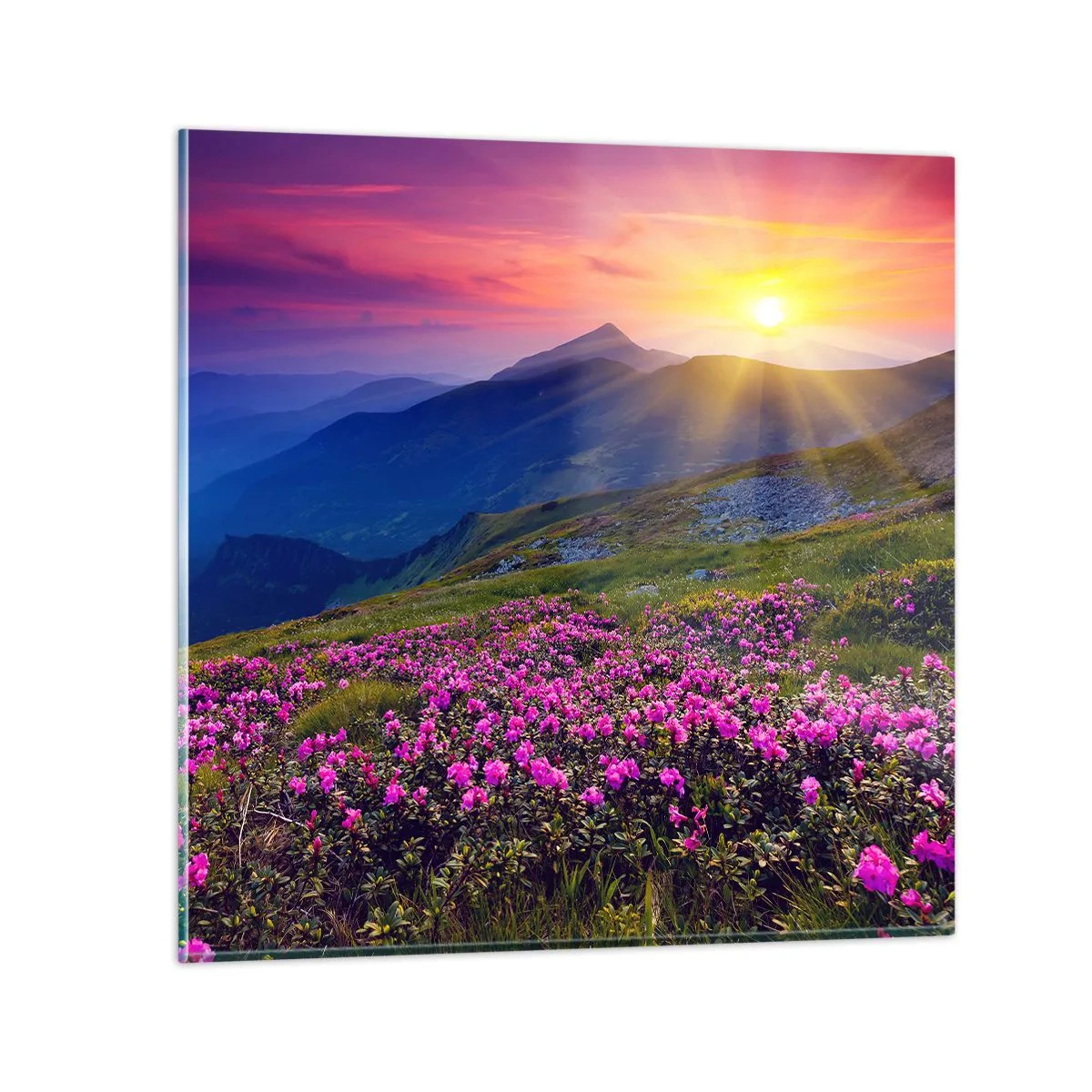 Glasbild - Bild auf glas - … Und drumherum duftet es nach Latschenkiefer und dem Duft von Kräutern - 60x60 cm