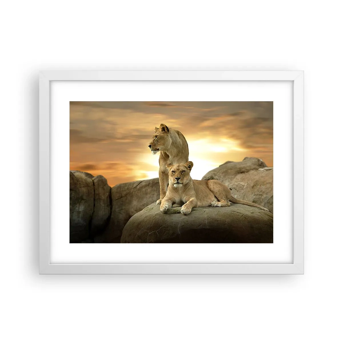 Poster in einem weißen Rahmen - Königliche Majestät - 40x30 cm