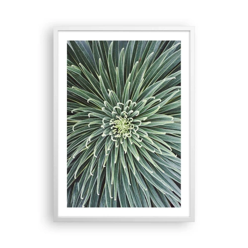 Poster in einem weißen Rahmen - Ein Star ist geboren - 50x70 cm