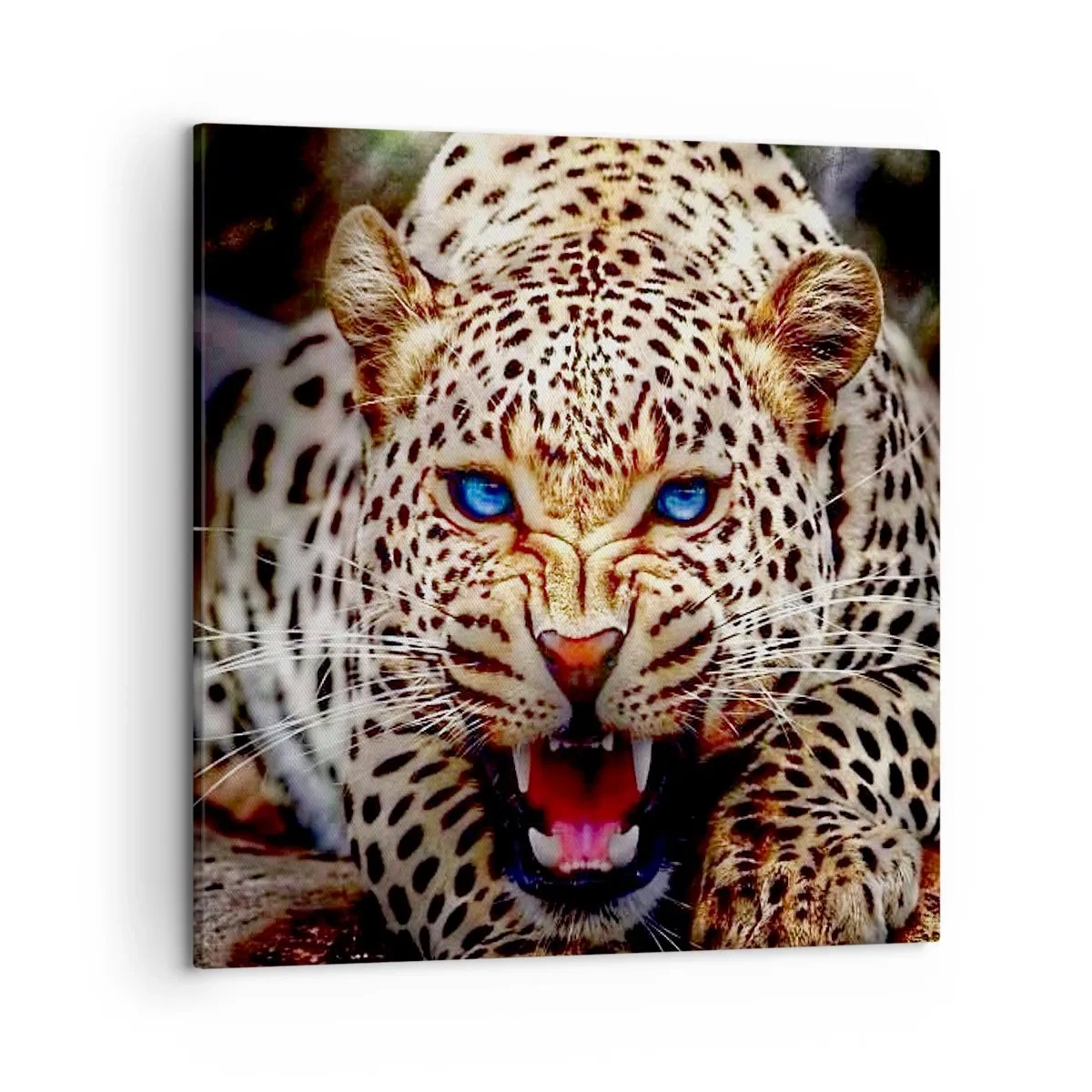 Bild auf Leinwand - Leinwandbild - Schönheitswut tut nicht weh - 50x50 cm