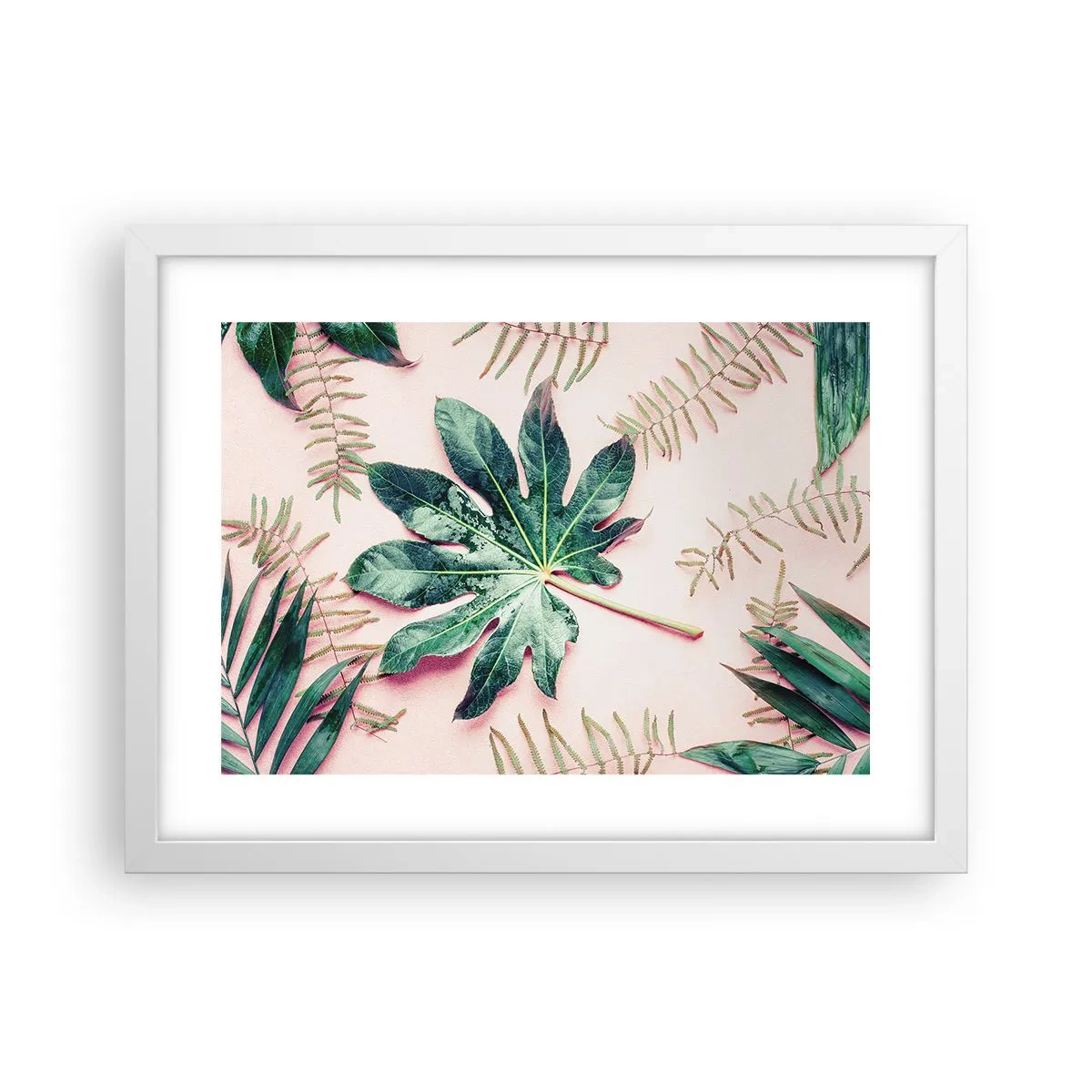 Poster in einem weißen Rahmen - Eine Studie von Grün auf einem rosa Hintergrund - 40x30 cm