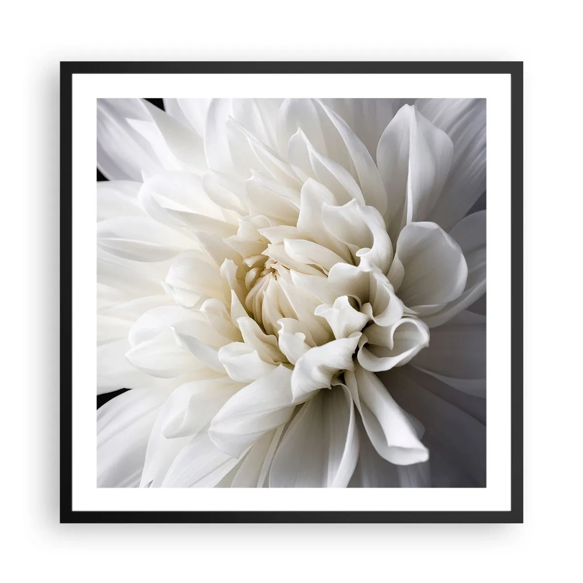Poster in einem schwarzem Rahmen - Der Morgen der Braut - 60x60 cm