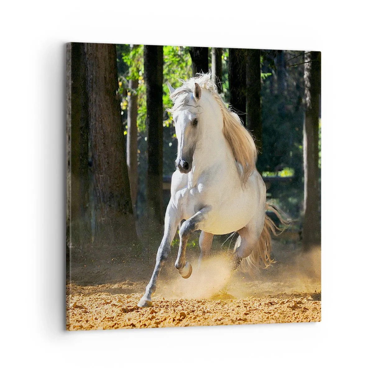 Bild auf Leinwand - Leinwandbild - Wie aus einem Fantasy-Roman - 60x60 cm