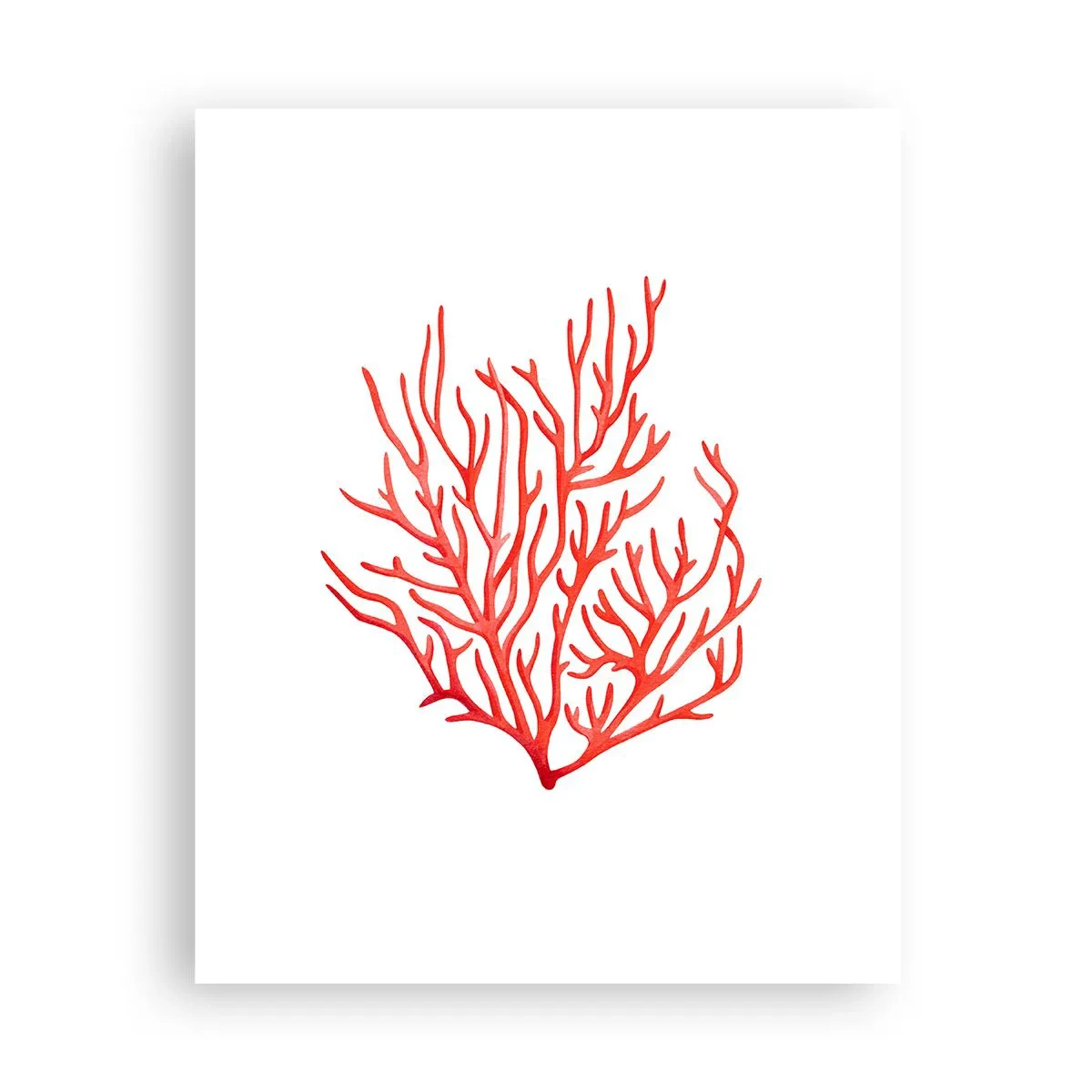 Poster - Korallenfiligran - 40x50 cm