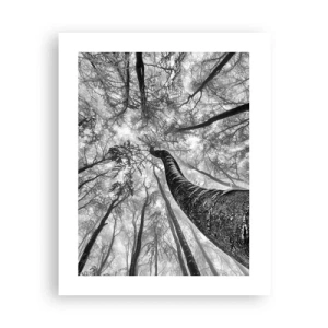 Poster - Rennen zum Licht - 40x50 cm