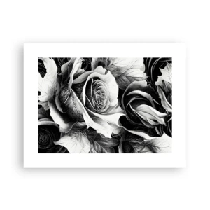 Poster - Immer Königin - 40x30 cm