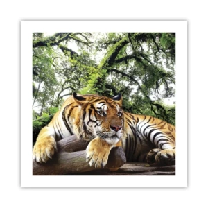 Poster - Hochachtungsvoll - 50x50 cm