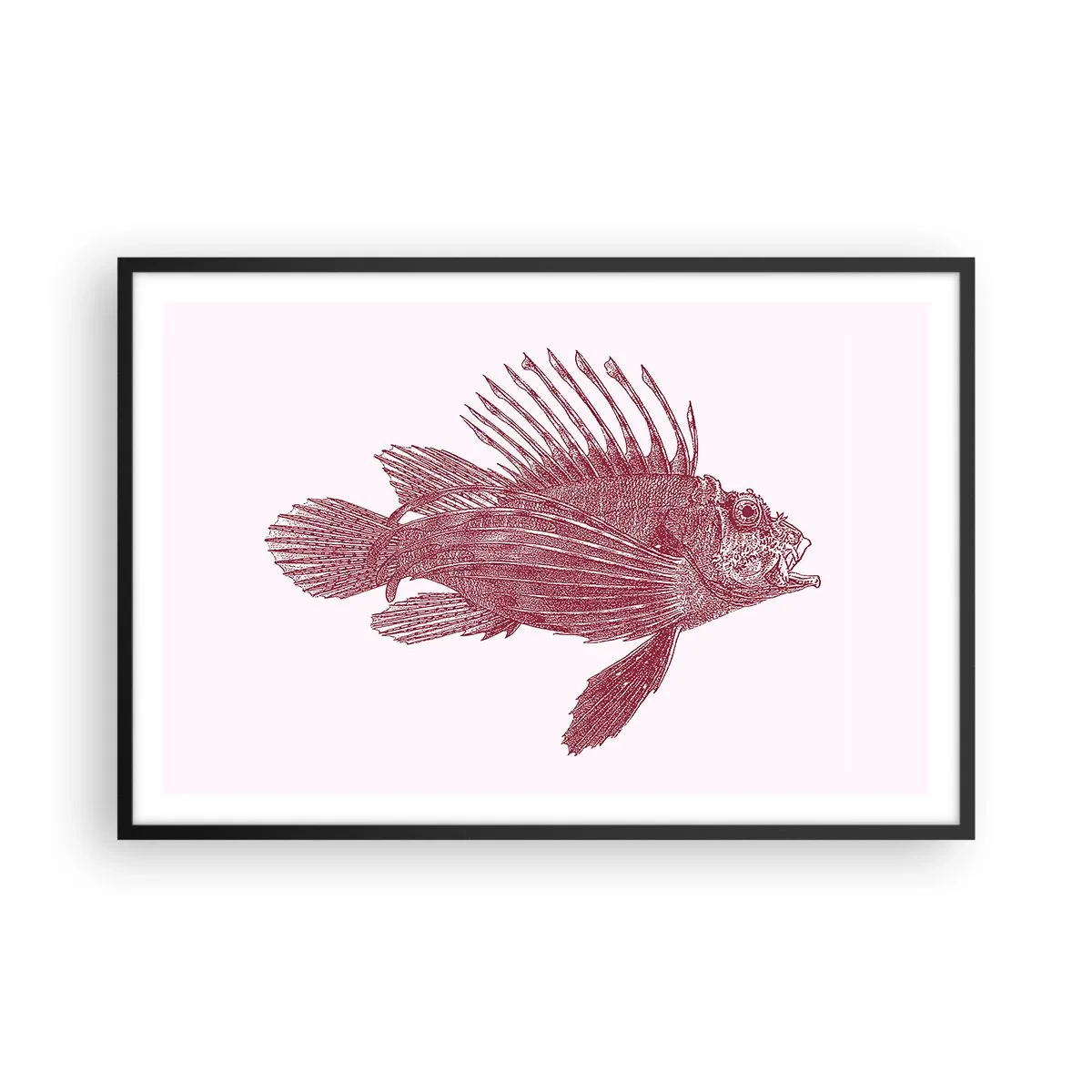 Poster in einem schwarzem Rahmen - Bewohner exotischer Gewässer - 91x61 cm