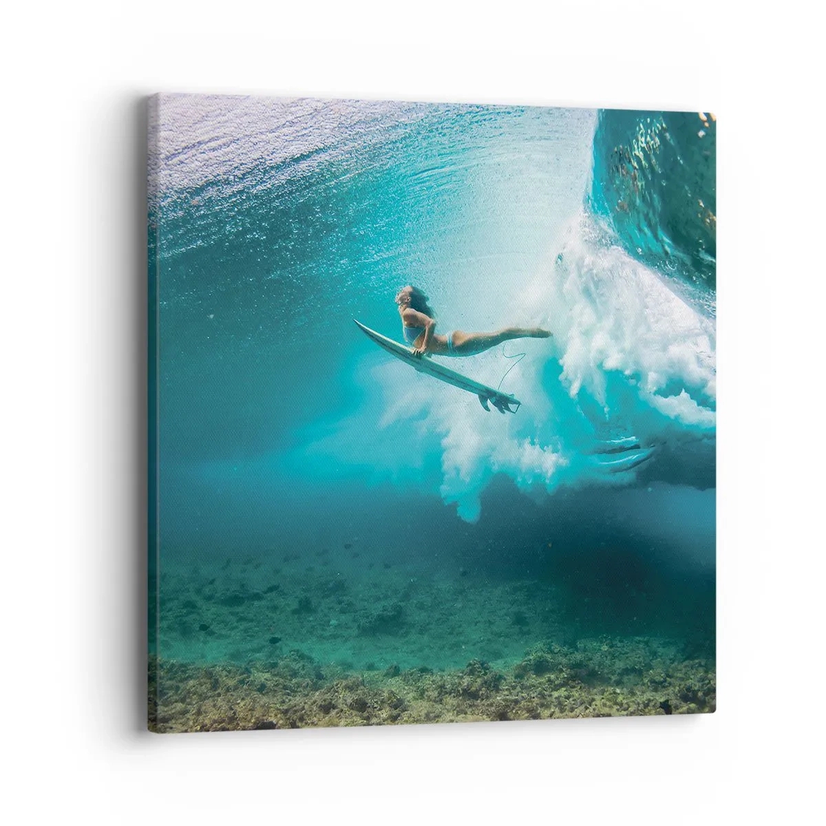 Bild auf Leinwand - Leinwandbild - Unterwasserwelt - 40x40 cm