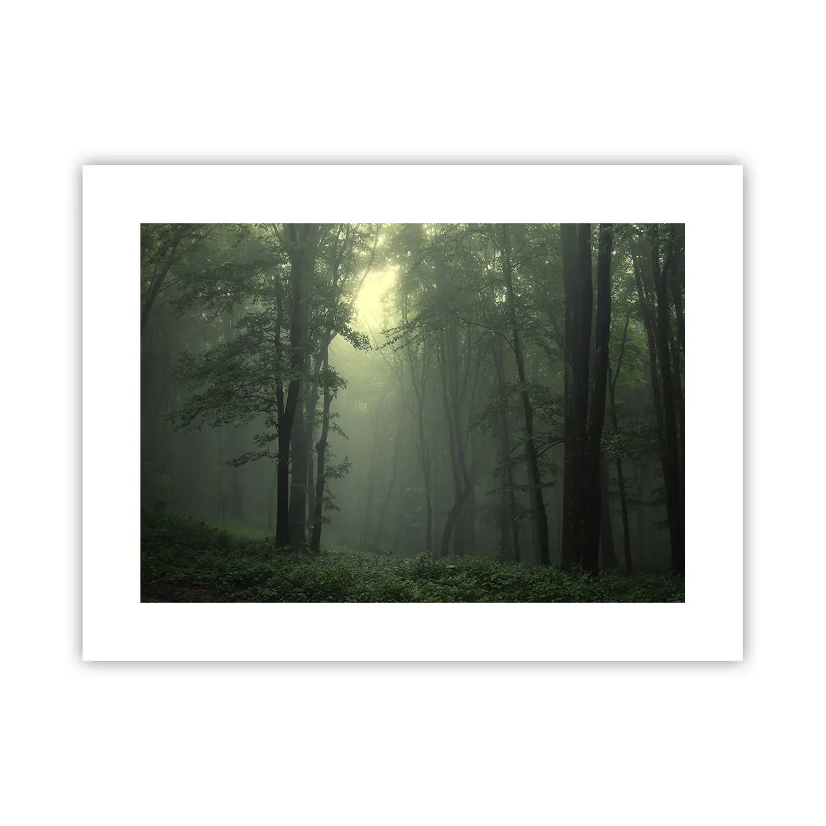 Poster - Bevor er aufwacht - 40x30 cm