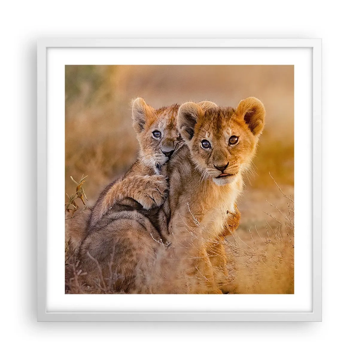 Poster in einem weißen Rahmen - Bitte nicht stören! Wir haben Spaß - 50x50 cm