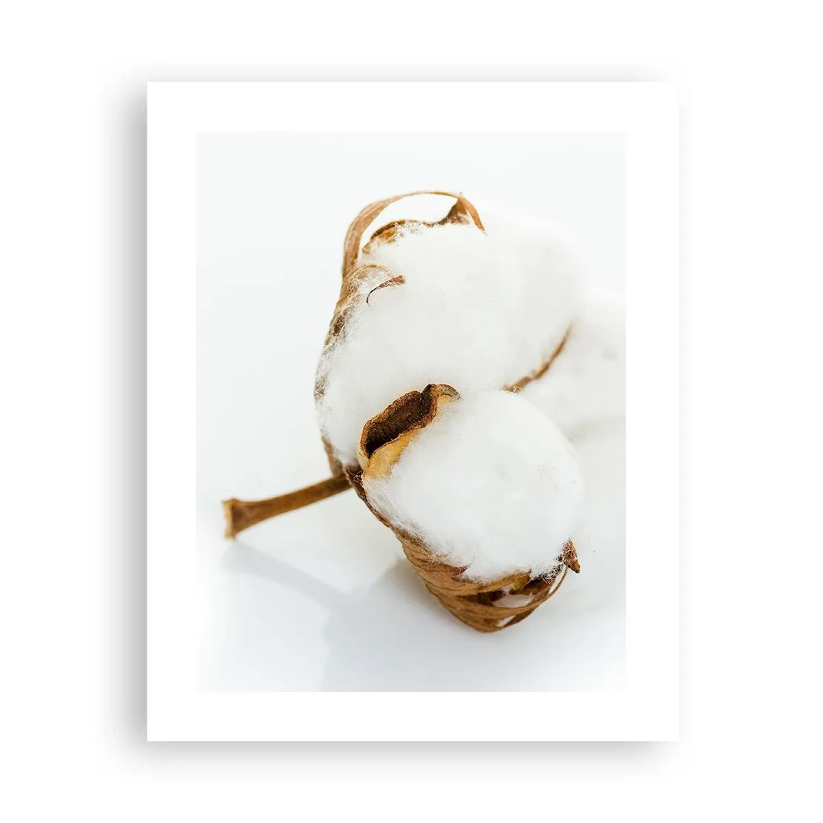 Poster - Von Natur aus weich - 40x50 cm