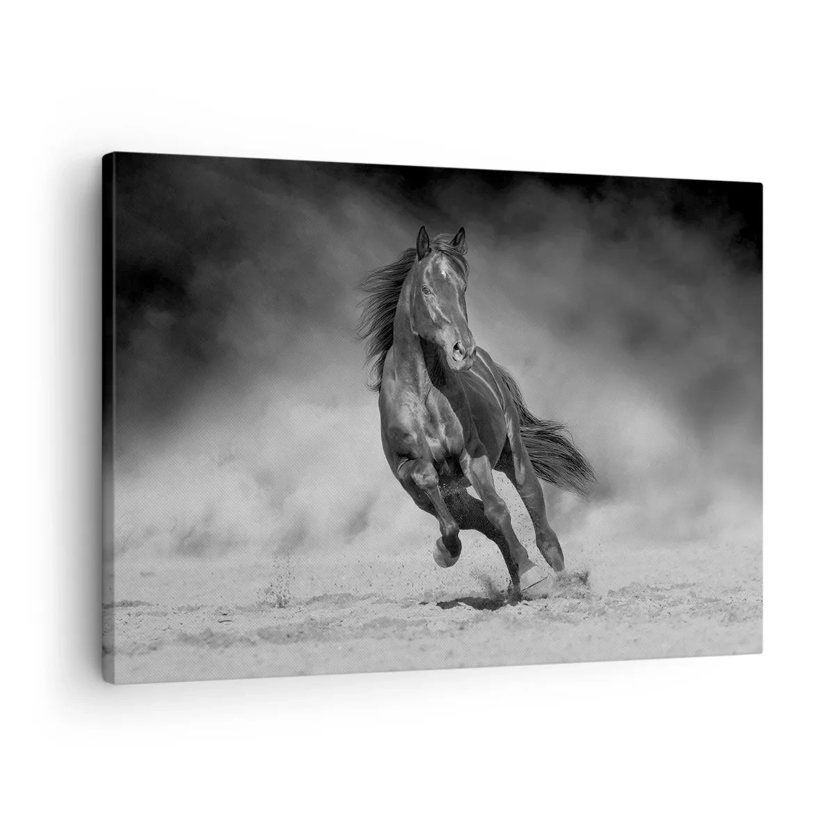 Bild auf Leinwand - Leinwandbild - Ein schwarz-weißes Pferd galoppiert über den Sand - 70x50cm - Würdig des Emirs selbst - Moderne Wanddekoration für Wohnzimmer und Schlafzimmer ARTTOR