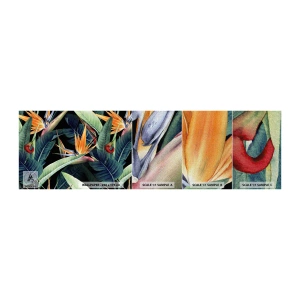 Fototapeten Muster Premium Canvas - Flammende Blumen der Tropen - Strelitzia Royal, Blume, Afrika - 100x30 cm