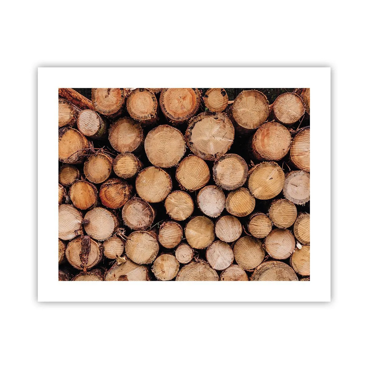 Poster - Ein neuer Anfang - 50x40 cm