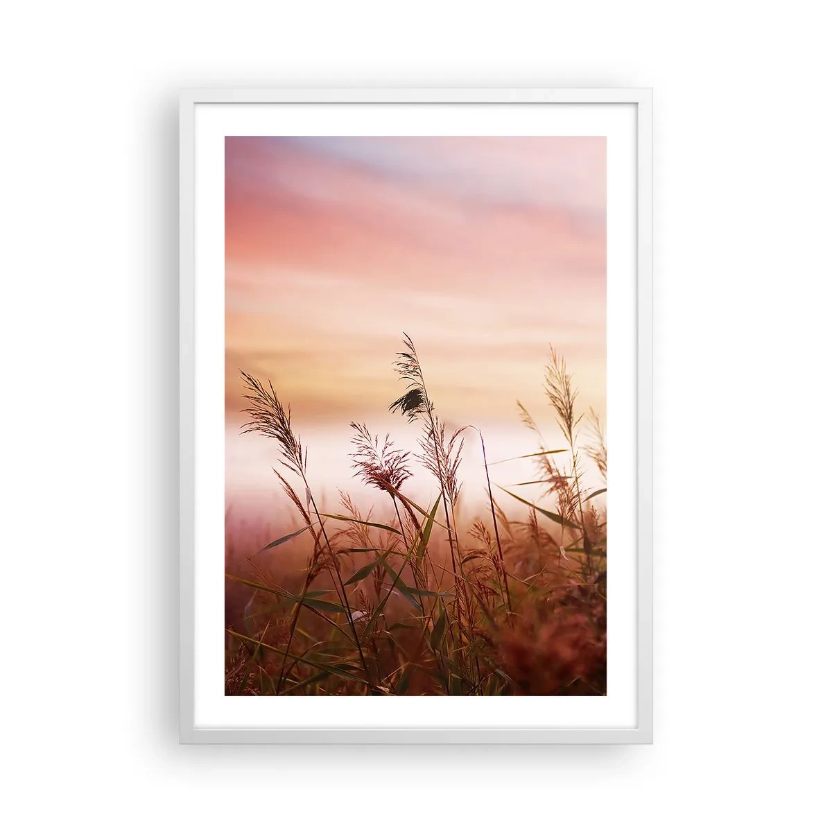 Poster in einem weißen Rahmen - Drachen, Löwenzahn, Wind - 50x70 cm