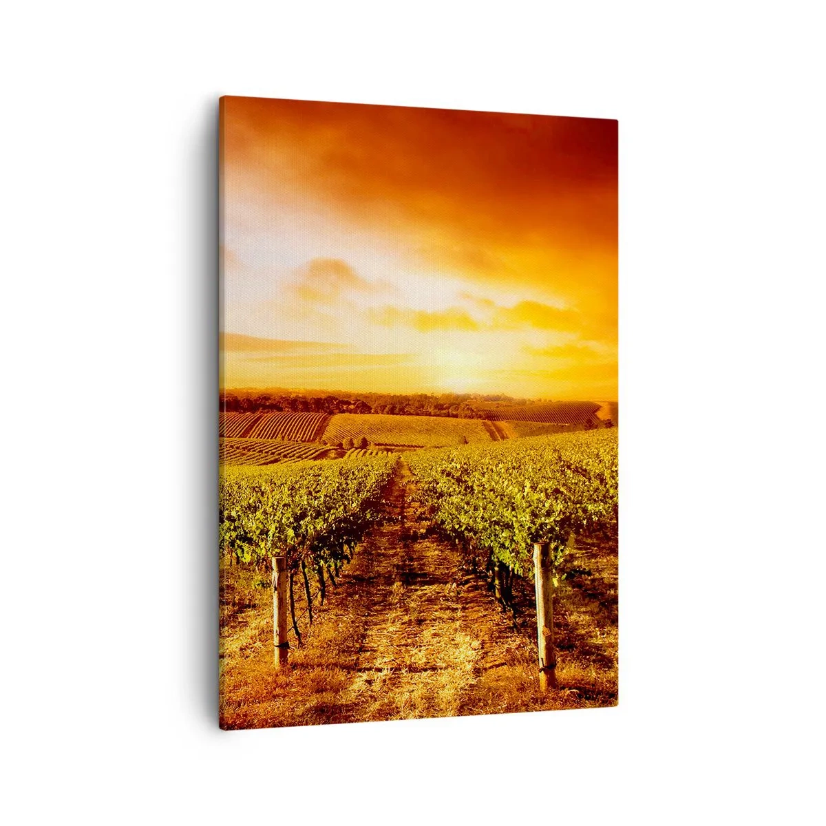 Bild auf Leinwand - Leinwandbild - Weinberg bei Sonnenuntergang mit warmen Himmelstönen - 50x70cm - Leicht fruchtig mit einem Hauch Sonnenschein - Moderne Wanddekoration für Wohnzimmer und Schlafzimmer ARTTOR