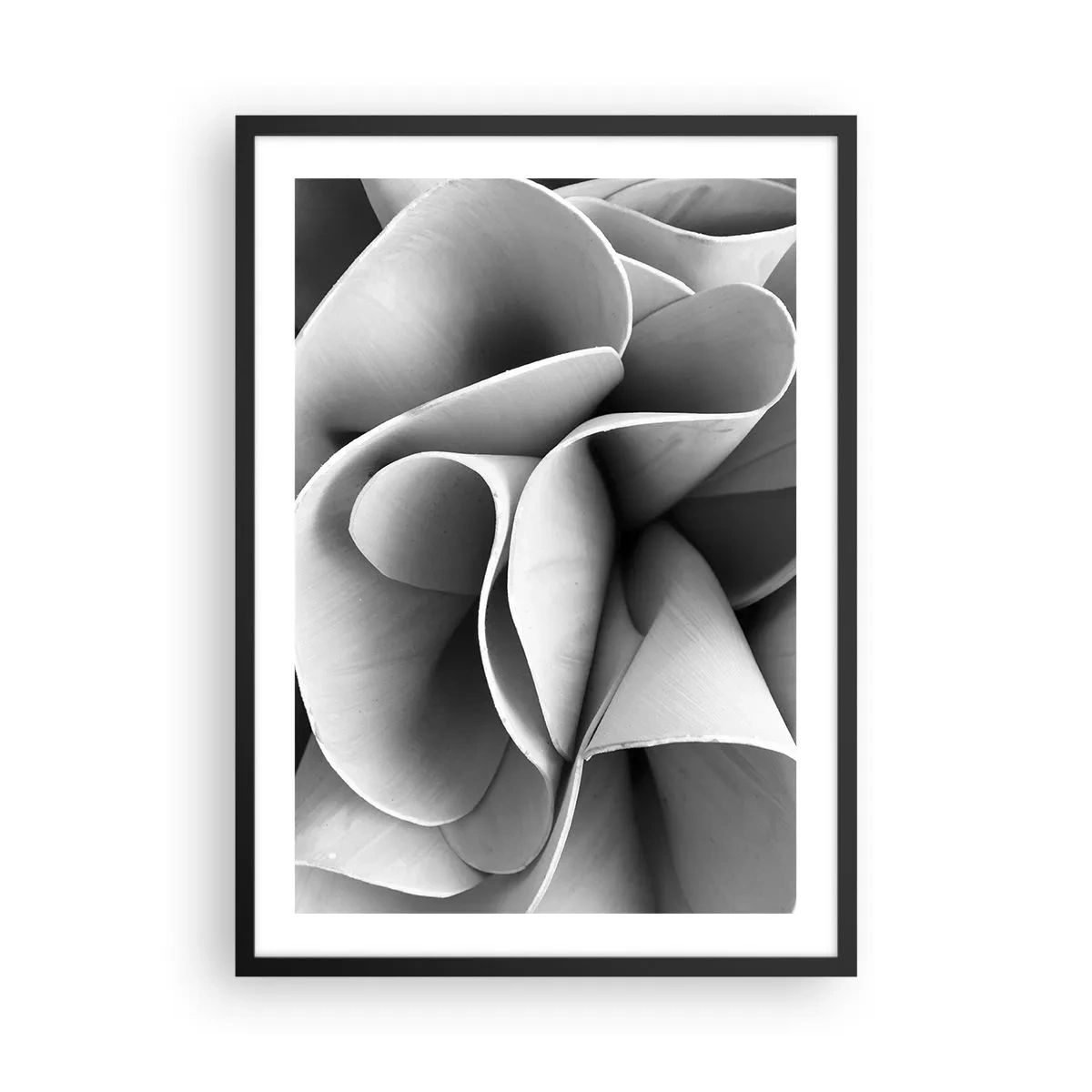 Poster in einem schwarzem Rahmen - Abstrakte Blütenblätter in Grautönen - 50x70cm - Es passiert im Weltraum - Moderne Wanddekoration für Wohnzimmer und Schlafzimmer ARTTOR