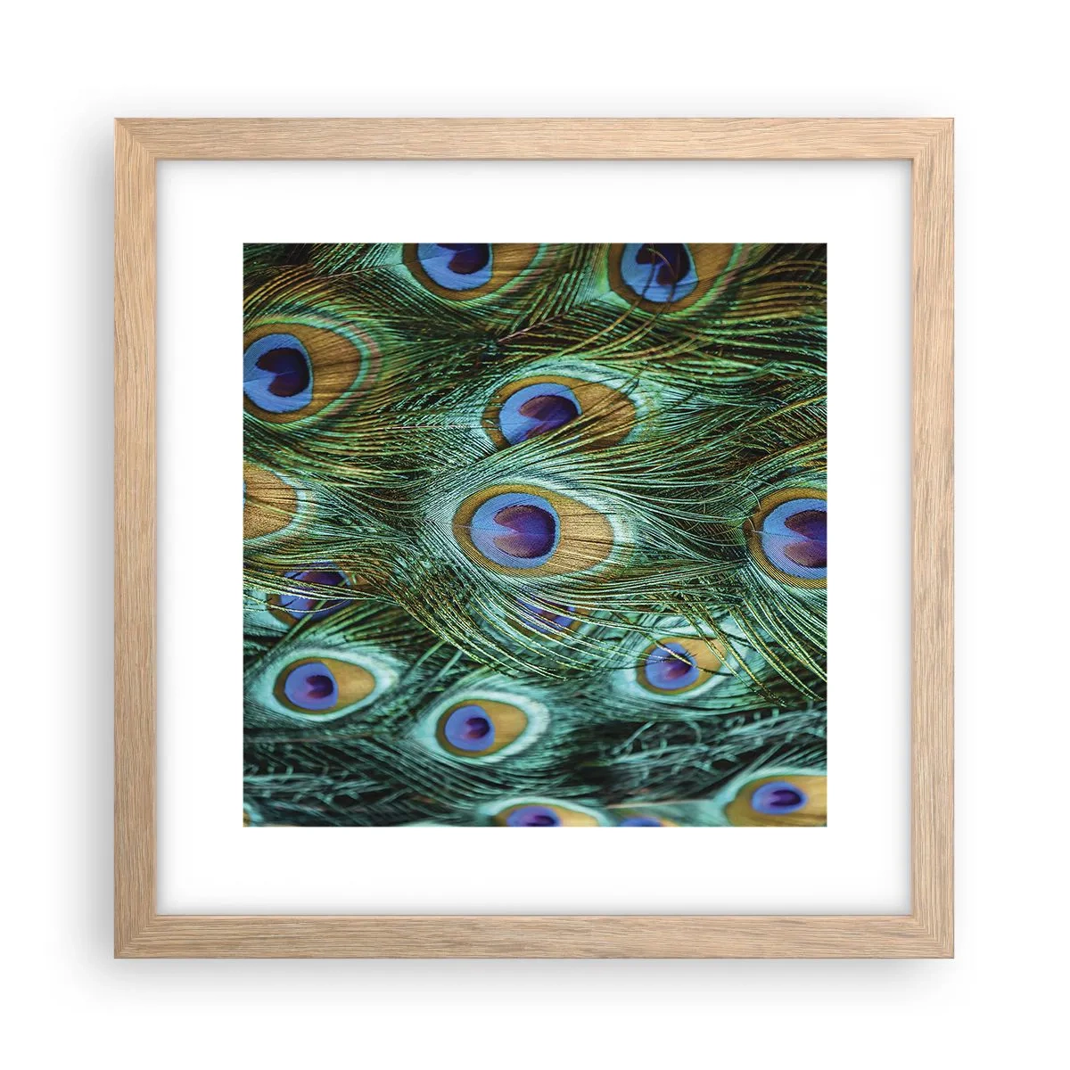 Poster in einem Rahmen aus heller Eiche - Ein Blick mit Pfauenaugen - 30x30 cm