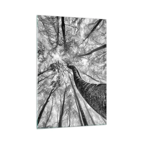 Glasbild - Bild auf glas - Perspektive von Bäumen in einem Wald von unten gesehen in Grautönen - 70x100cm - Rennen zum Licht - Moderne Wanddekoration für Wohnzimmer und Schlafzimmer ARTTOR