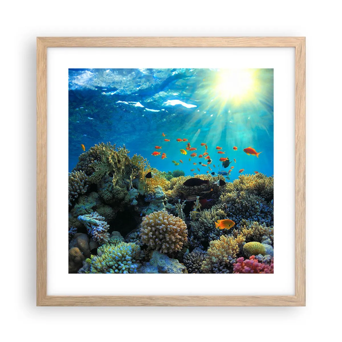 Poster in einem Rahmen aus heller Eiche - Unterwasserschätze - 40x40 cm