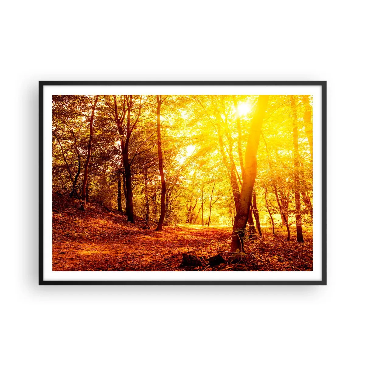 Poster in einem schwarzem Rahmen - Herbstlichtung im goldenen Sonnenlicht mit einem Waldweg - 100x70cm - Auf die goldene Lichtung - Moderne Wanddekoration für Wohnzimmer und Schlafzimmer ARTTOR